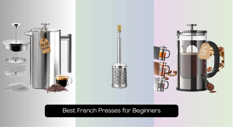7 Best French Presses for Beginners 2026
