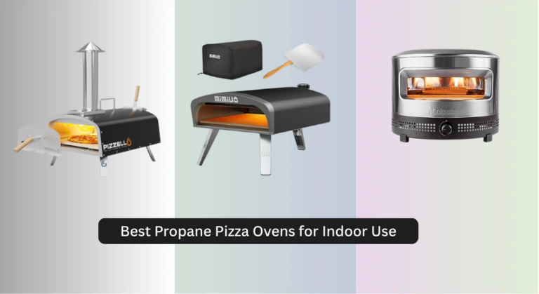 6 Best Propane Pizza Ovens for Indoor Use 2026