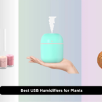 7 Best USB Humidifiers for Plants 2026