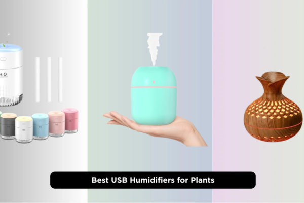 7 Best USB Humidifiers for Plants 2026