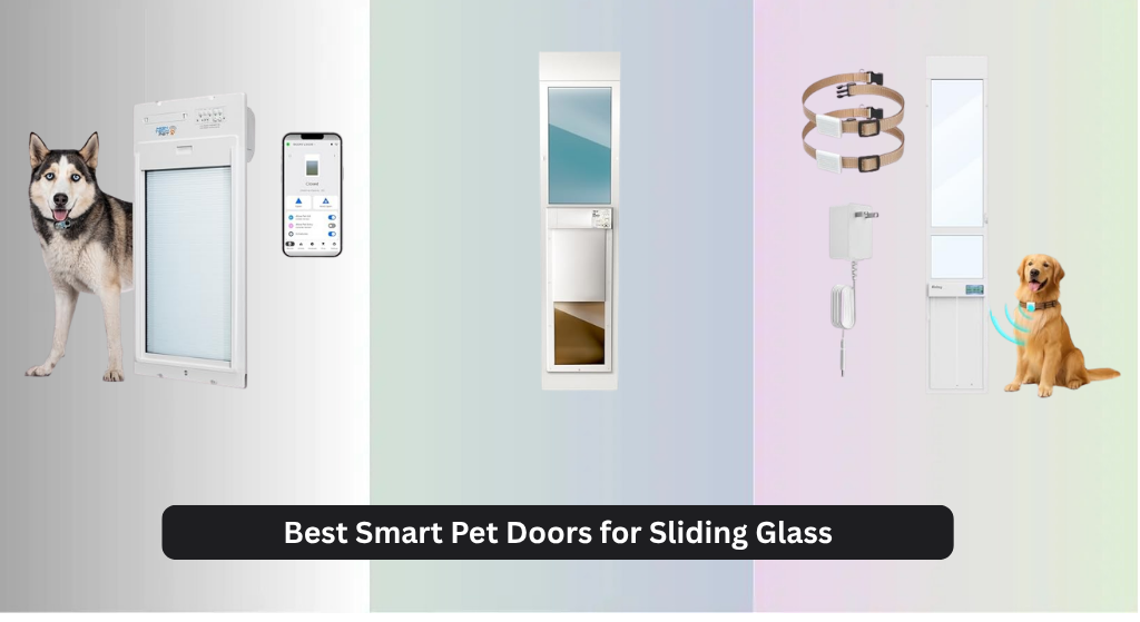 7 Best Smart Pet Doors for Sliding Glass (2026)