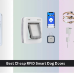 6 Best Cheap RFID Smart Dog Doors 2026