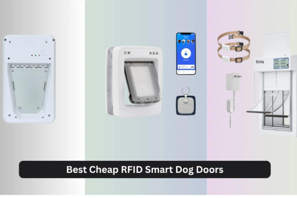 6 Best Cheap RFID Smart Dog Doors 2026
