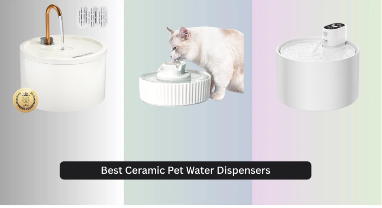 8 Best Ceramic Pet Water Dispensers of 2026