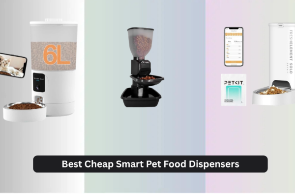 9 Best Cheap Smart Pet Food Dispensers 2026