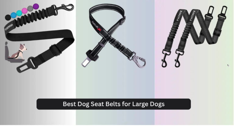 8 Best Dog Seat Belts for Large Dogs 2026