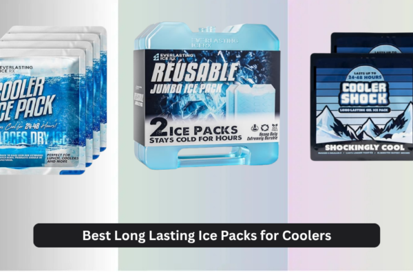 9 Best Long Lasting Ice Packs for Coolers 2026