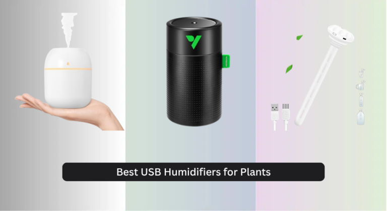 7 Best USB Humidifiers for Plants 2026