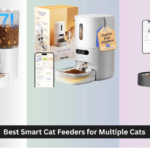 8 Best Smart Cat Feeders for Multiple Cats 2026, Analyzed