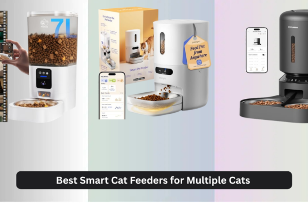 8 Best Smart Cat Feeders for Multiple Cats 2026, Analyzed