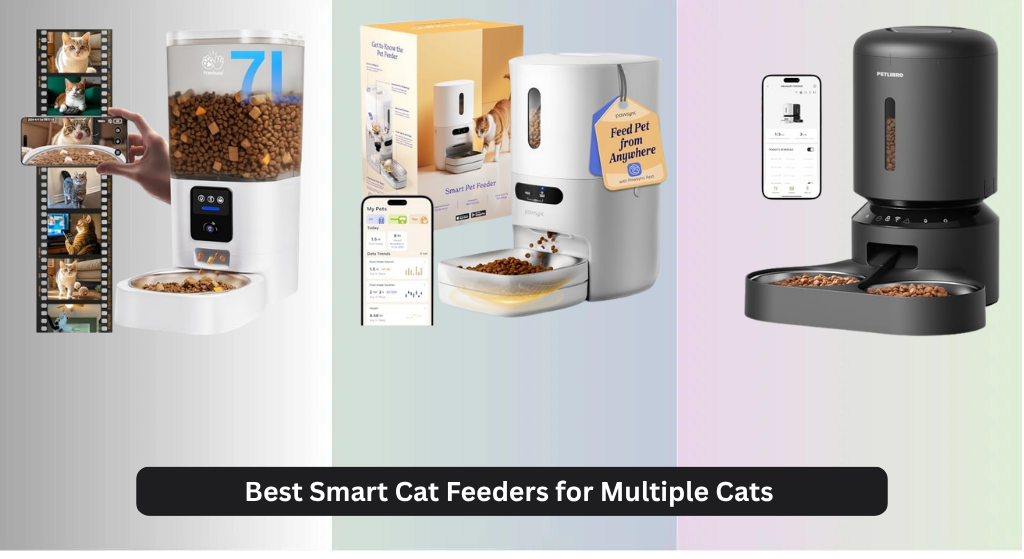 8 Best Smart Cat Feeders for Multiple Cats 2026, Analyzed