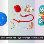 8 Best Smart Pet Toys for Dogs Home Alone 2026