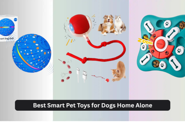 8 Best Smart Pet Toys for Dogs Home Alone 2026