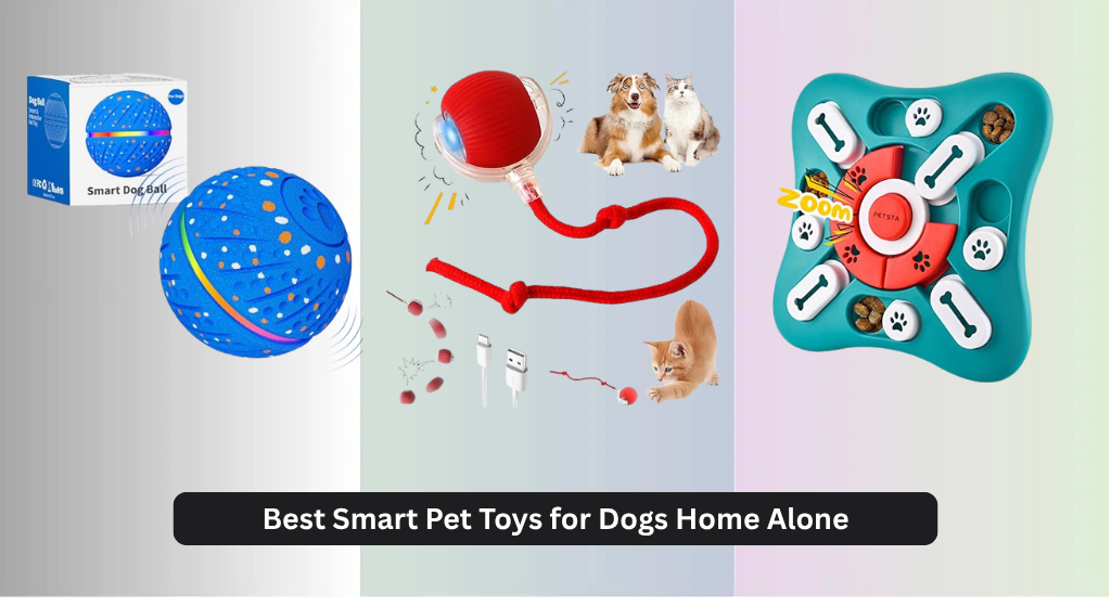 8 Best Smart Pet Toys for Dogs Home Alone 2026