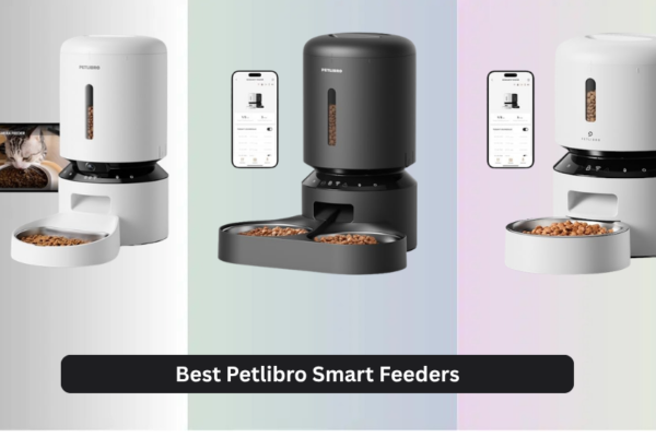 7 Best Petlibro Smart Feeders 2026