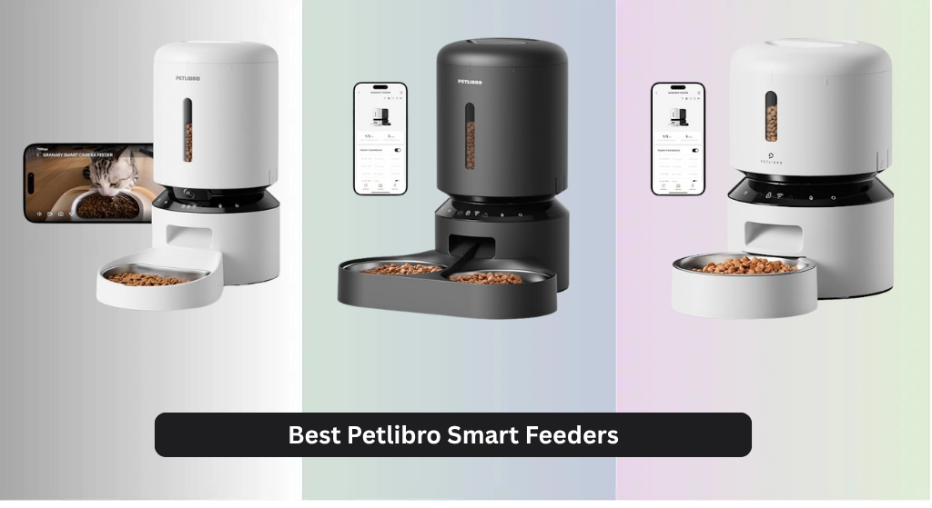 7 Best Petlibro Smart Feeders 2026