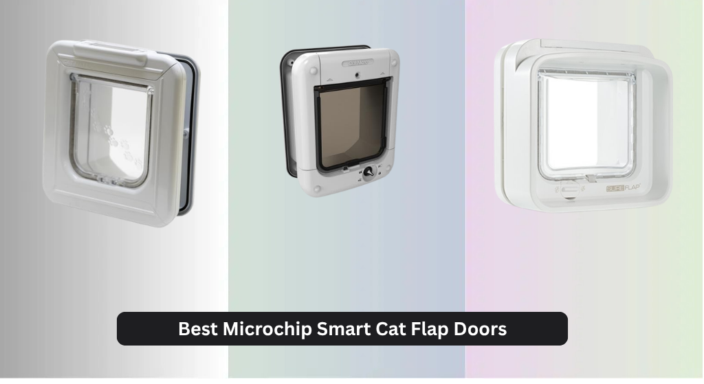 8 Best Microchip Smart Cat Flap Doors 2026