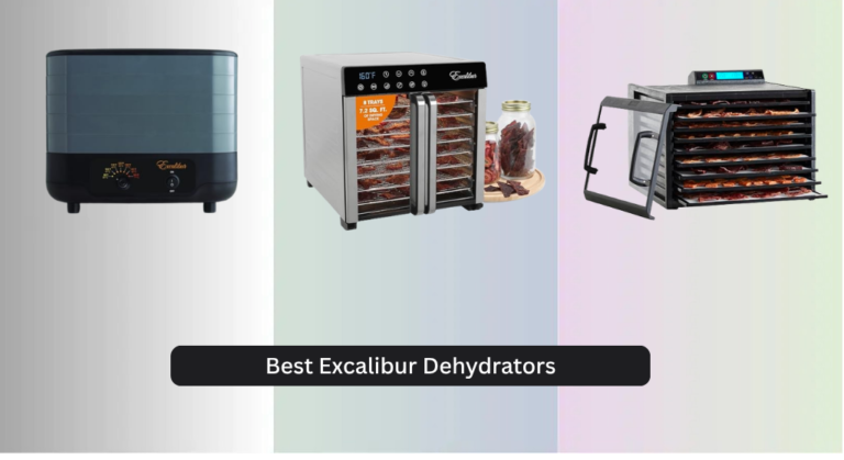 7 Best Excalibur Dehydrators of 2026