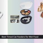8 Best Timed Cat Feeders for Wet Food 2026