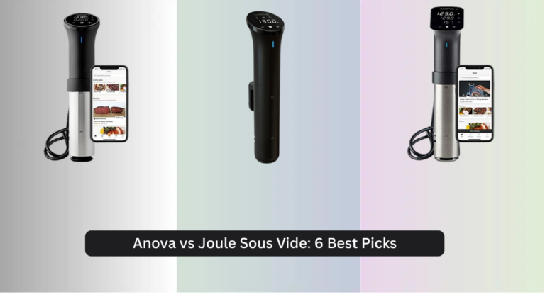 Anova vs Joule Sous Vide: 6 Best Picks 2026