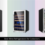 7 Best Wine Refrigerators for Collectors 2026