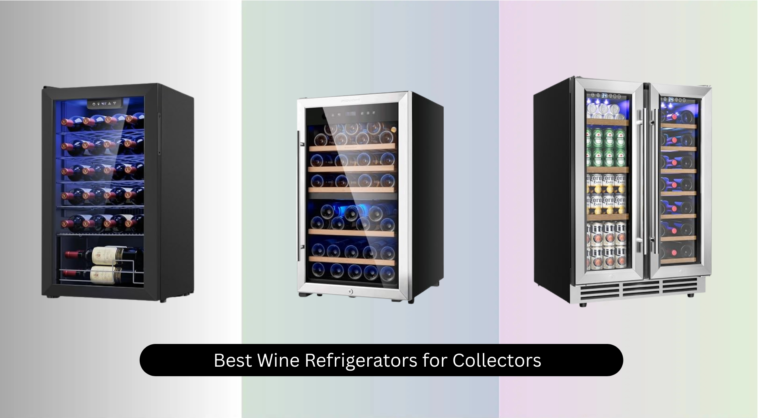 7 Best Wine Refrigerators for Collectors 2026