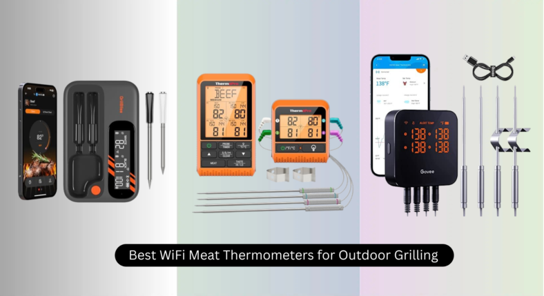 7 Best WiFi Meat Thermometers for Outdoor Grilling 2026