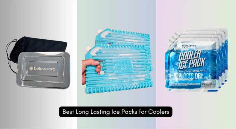 9 Best Long Lasting Ice Packs for Coolers 2026