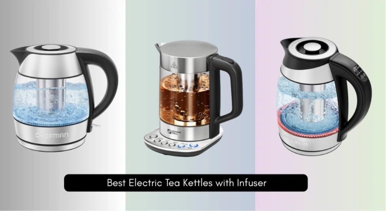 9 Best Electric Tea Kettles with Infuser 2026