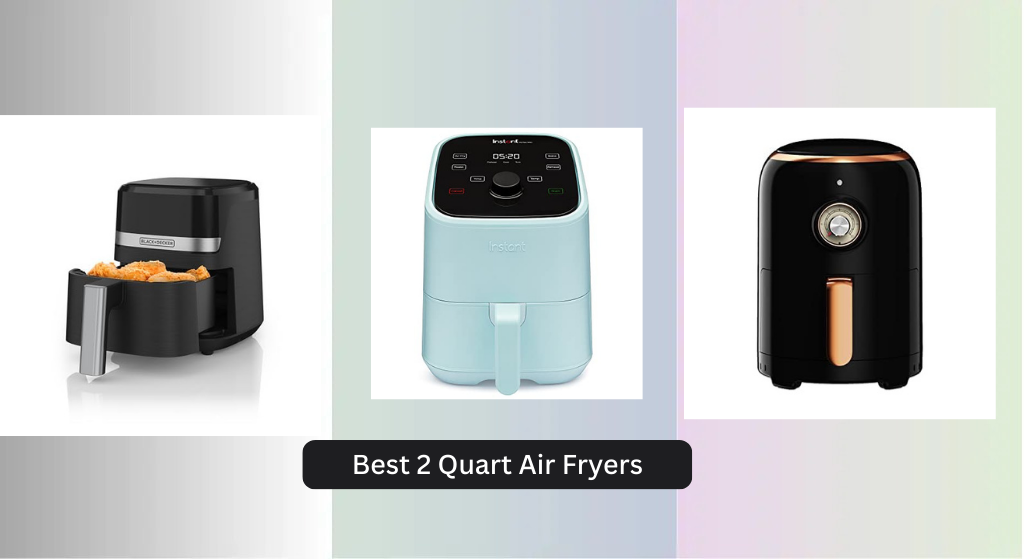 6 Best 2 Quart Air Fryers of 2026