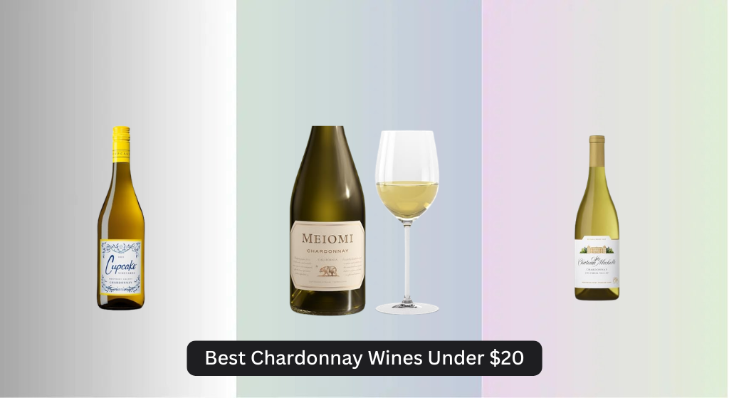 9 Best Chardonnay Wines Under  (2026 Guide)