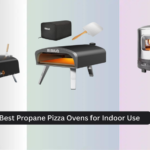 6 Best Propane Pizza Ovens for Indoor Use 2026
