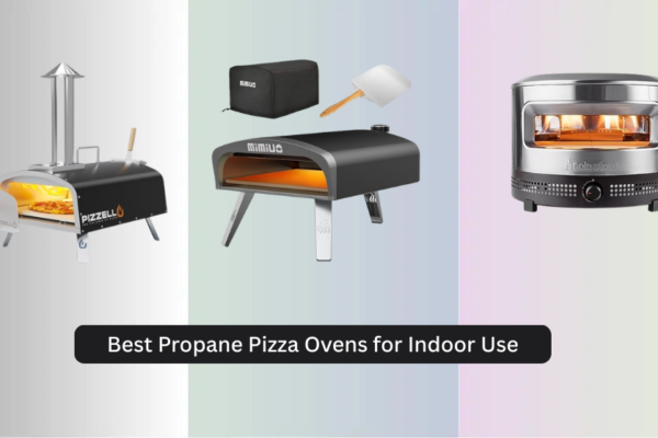 6 Best Propane Pizza Ovens for Indoor Use 2026
