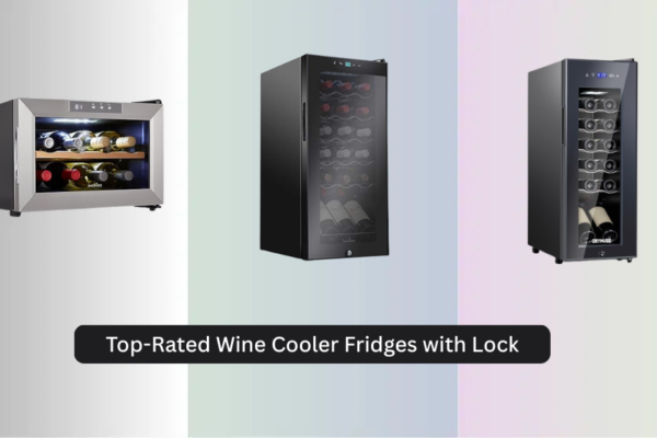 7 Top-Rated Wine Cooler Fridges with Lock 2026