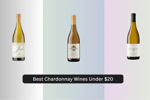 8 Best Chardonnay Wines Under  (2026 Guide)
