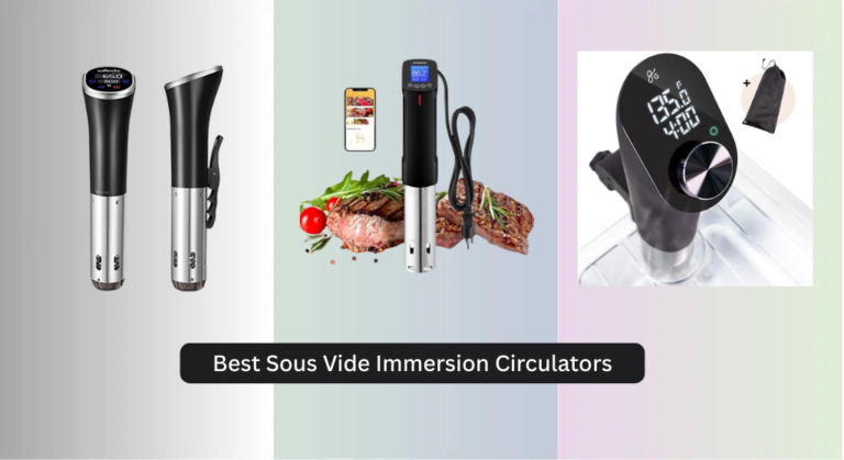 8 Best Sous Vide Immersion Circulators of 2026