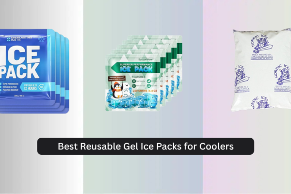 8 Best Reusable Gel Ice Packs for Coolers 2026