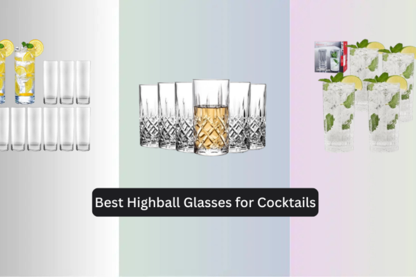 8 Best Highball Glasses for Cocktails 2026