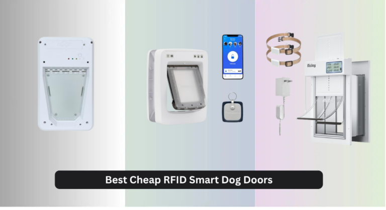 6 Best Cheap RFID Smart Dog Doors 2026