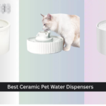 8 Best Ceramic Pet Water Dispensers of 2026