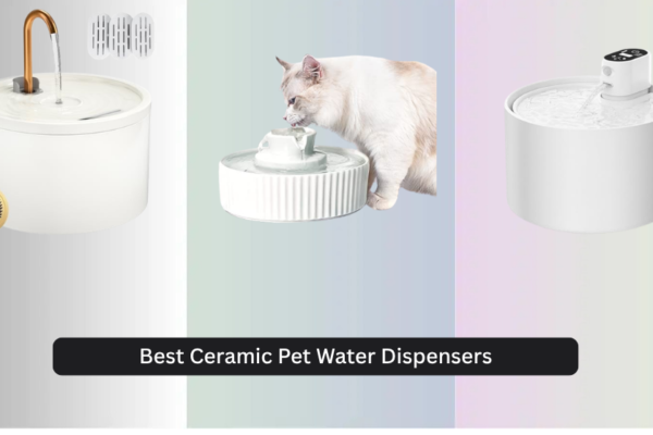 8 Best Ceramic Pet Water Dispensers of 2026