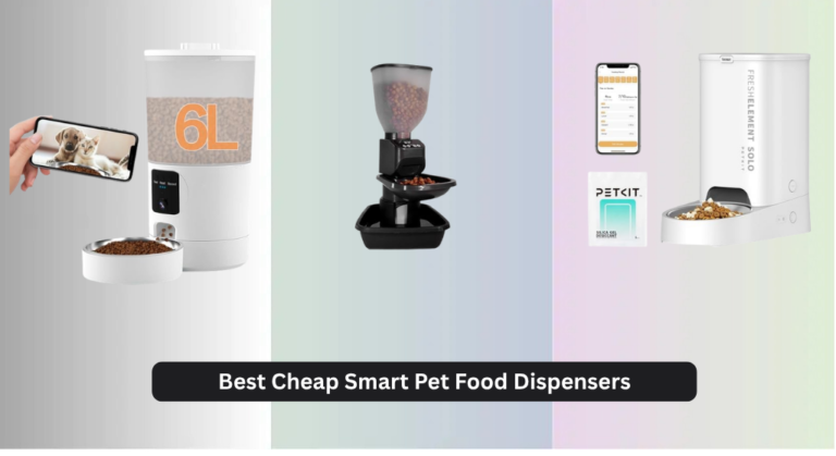9 Best Cheap Smart Pet Food Dispensers 2026