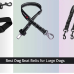 8 Best Dog Seat Belts for Large Dogs 2026