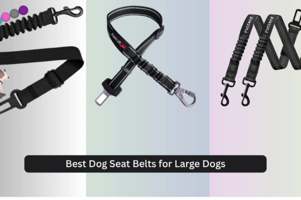 8 Best Dog Seat Belts for Large Dogs 2026
