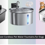 8 Best Cordless Pet Water Fountains for Dogs 2026
