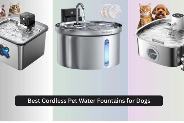 8 Best Cordless Pet Water Fountains for Dogs 2026