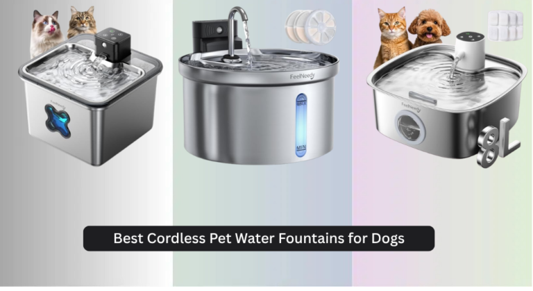 8 Best Cordless Pet Water Fountains for Dogs 2026