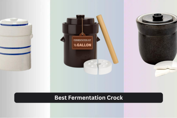 7 Best Fermentation Crock of 2026
