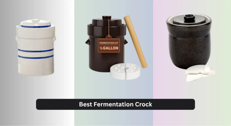 7 Best Fermentation Crock of 2026