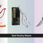 9 Best Poultry Shears of 2026